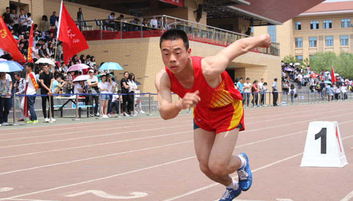 我们代表团在太阳集团网tyc97282016年学生田径运动会上再创佳绩 我们代表团在太阳集团网tyc97282016年学生田径运动会上再创佳绩