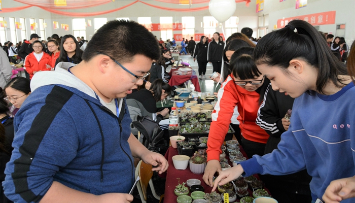 我们举办第三届创意市集 我们举办第三届创意市集
