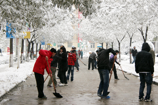 我们学生积极开展义务劳动清扫积雪 我们学生积极开展义务劳动清扫积雪
